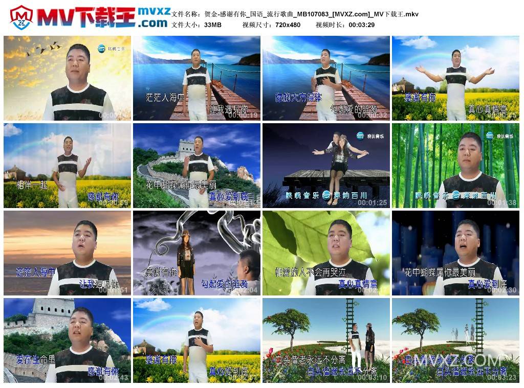 贺金-感谢有你_国语_流行歌曲_MB107083